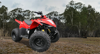 MONGOOSE 90S image