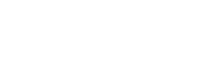 stealth electric bikes logo